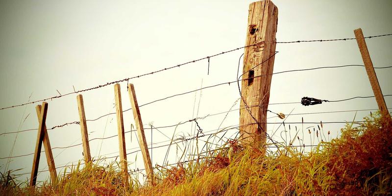 节能风扇排行推荐：办公桌和家用兼顾